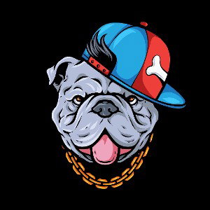 Hip Hop - Rap Hard