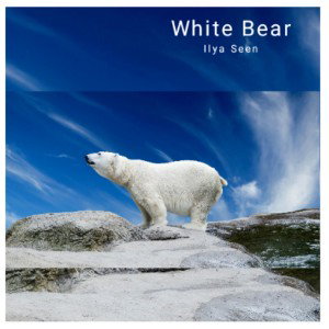 I$ - WhiteBear (rec.by redmi9)
