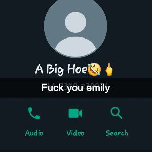RT - Fuck Emily (Official Audio)