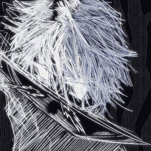 DissHikerii2