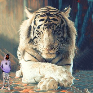 KD x Sike Taylor - RedRum