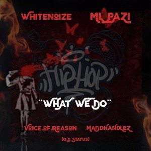 O.G. Status ft Whitenoize, ML PAZI, Voice.Of.Reason & MaDdHaNdLeZ - "WHAT WE DO"