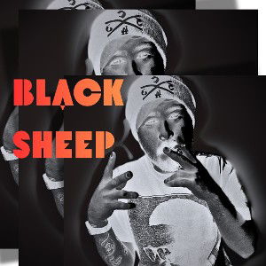BLACK SHEEP