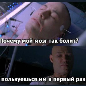 The matrix in you mind. 