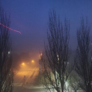 палароид