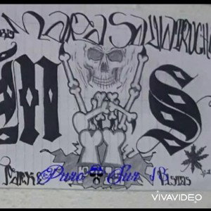 Pvls Lyricistas criminales