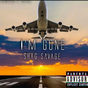 I'm Gone (remix)