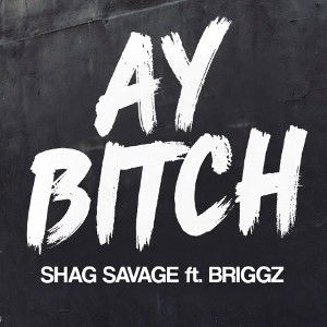AY BITCH (ft. Briggz)
