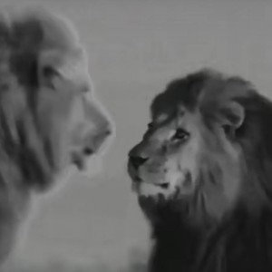 Mic murder - one king od the jungle 