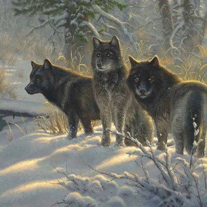 Wolfpack 