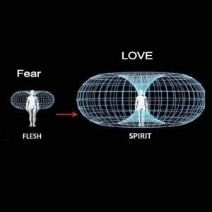 Rey Amor - Energy 