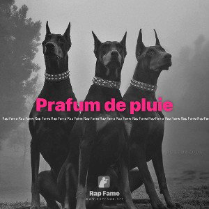 Prafum de pluie