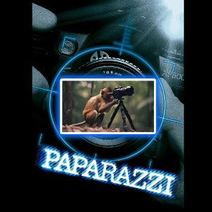 MonoPaparazzi_Freakinthoxi ft.LadyGaga 