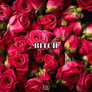 Bitch