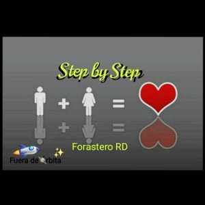 step by step _paso a paso_ mastered
