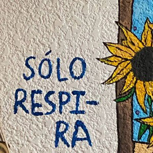 SOLO RESPIRA