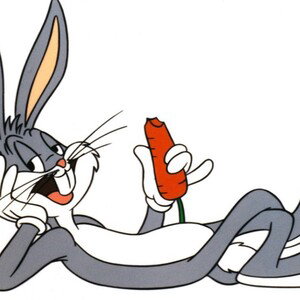 Bunny