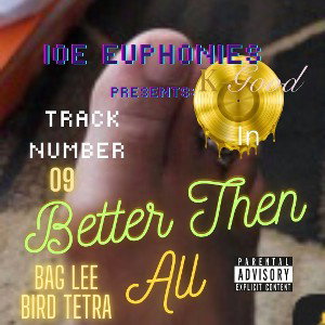 9. BAG LEE BIRD TETRA....