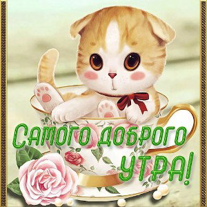 смертельная гонка