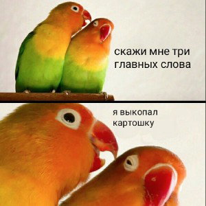 цикловир какукловер - полевое воспитание