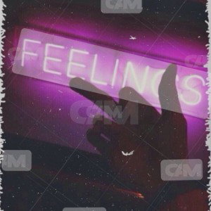 Maxx Dee - Feelings