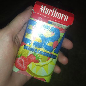 колорадский жук