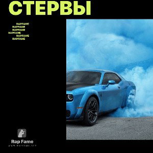 Стервы