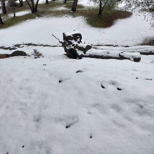 you got snowed