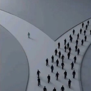 we not the same