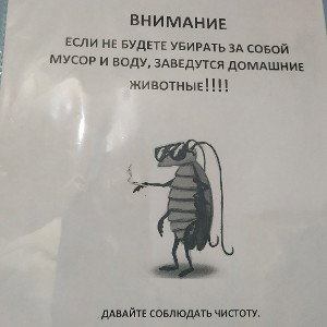КОМЕНТЫ.