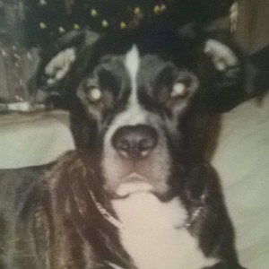 AMSTAFF