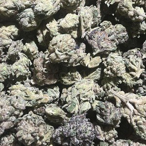 chunky skunk funky monkey