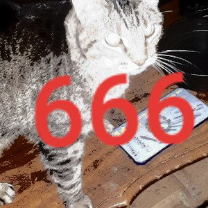 Fèveř