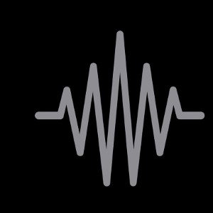what I thought snippet 