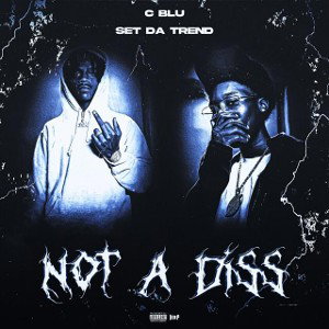not a diss