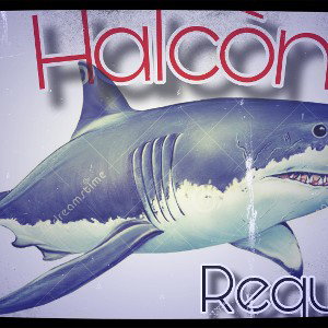  - requin  