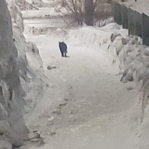 Cold