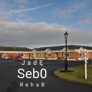 02. Sebo - Jadę (Rehab)