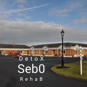 03. Sebo - Detox (Rehab)
