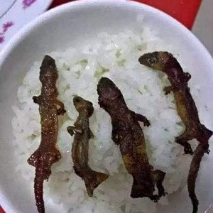 I'll eat em