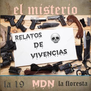 
RELATOS DE VIVENCIAS