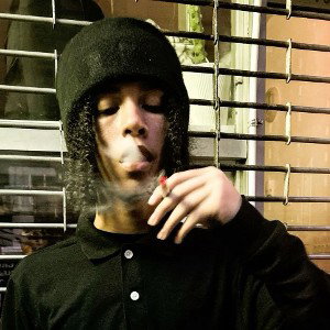 fly guy