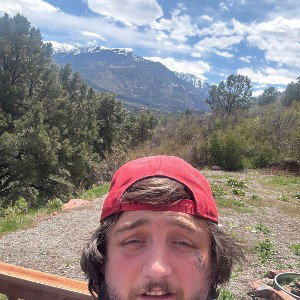 bears on my property