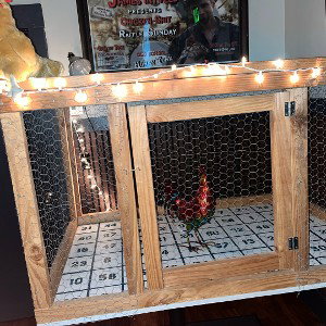 Gallo 