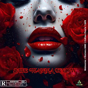 SheWannaKnow Remix