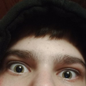 2 дубыль
