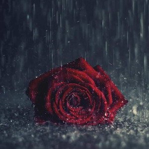 Believe 💔