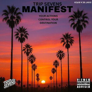 TRIP SEVENS - MR FIX IT - MASTER