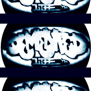 DEMENTEDLIFE trademark - WHATEVER YOU DO   ...     DONT LISTEN TO THIS