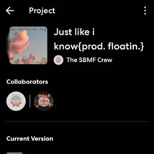 SBMF Crew Ft F.T.L- Just like i know